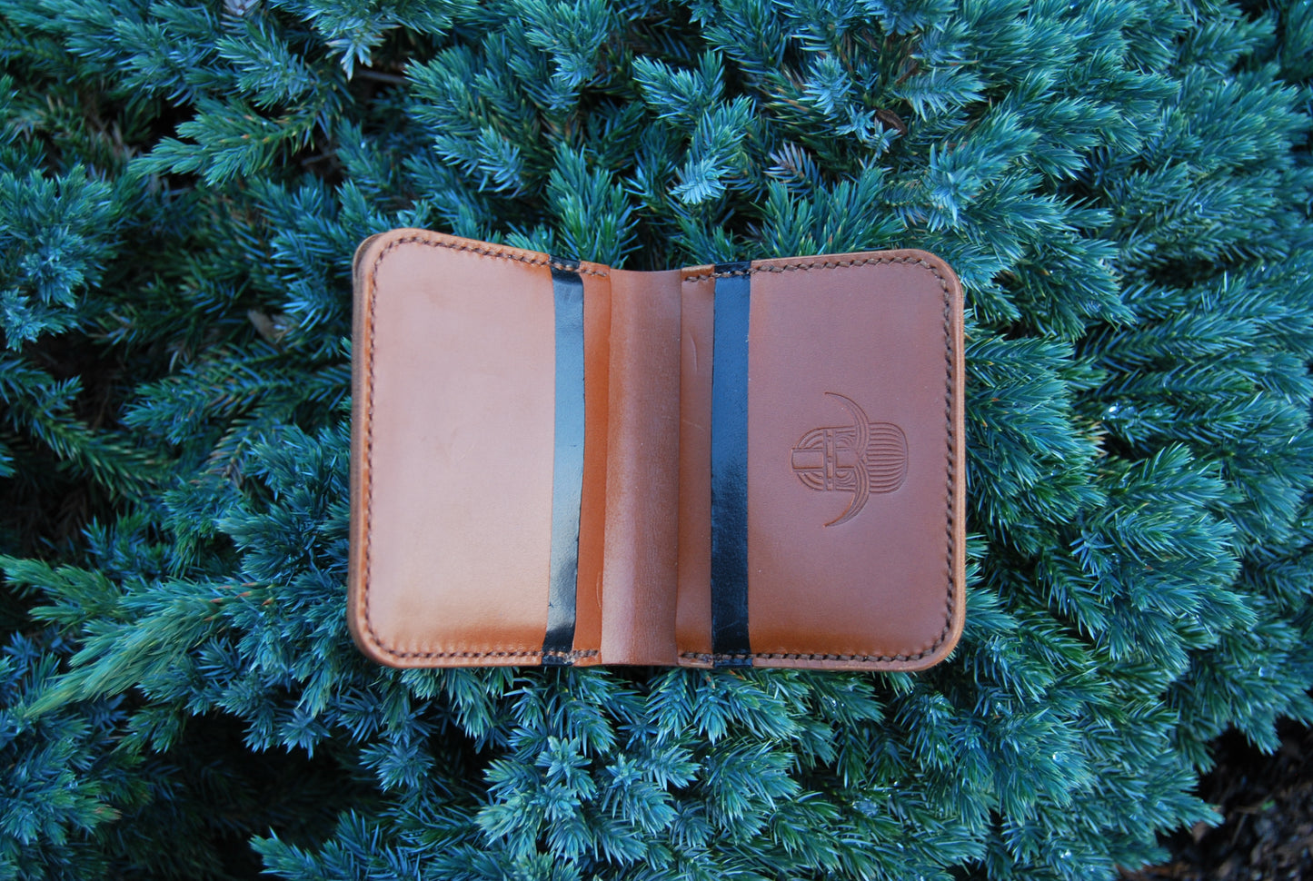Fjellroot Brown