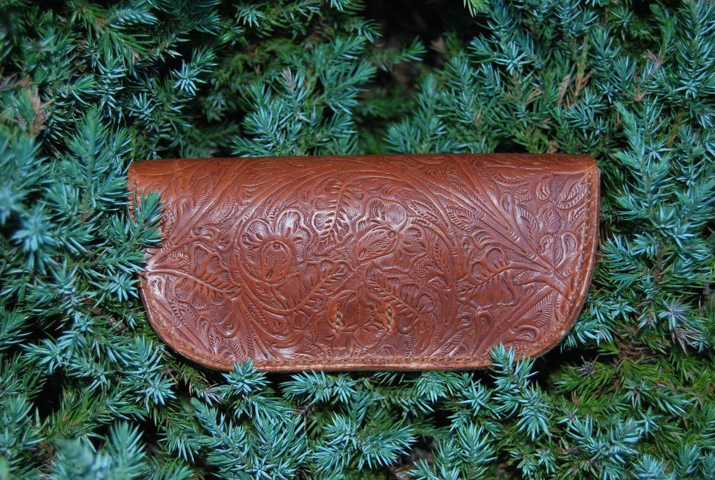 Wild Rose Glasses Case